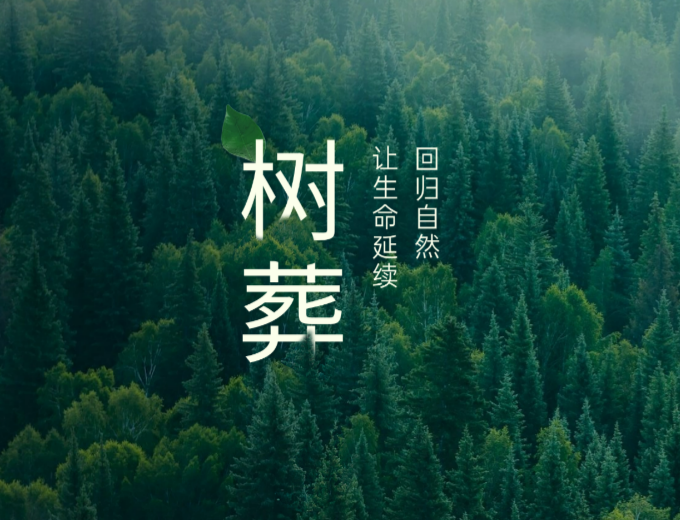 为大地添绿，让思念长存 | 带你了解生态树葬