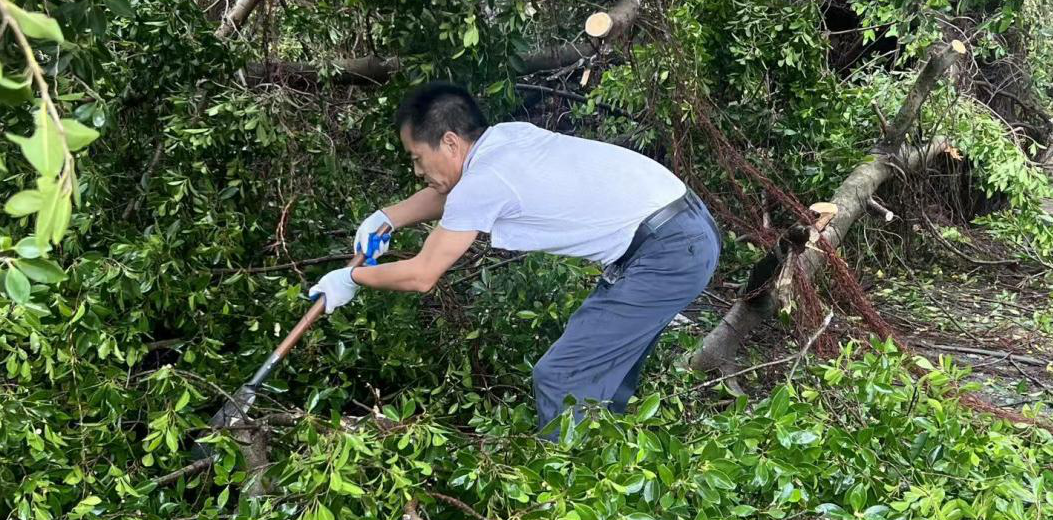 点赞！奋战在三亚清障一线的林业党员→