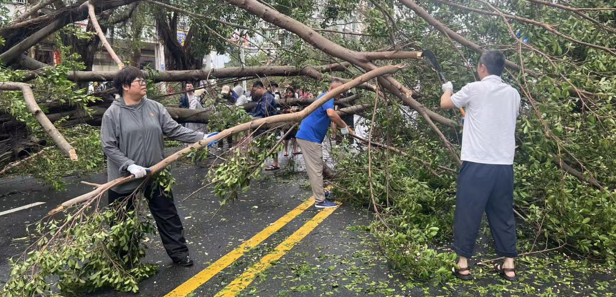 风雨同舟共筑家园｜市林业局全力支援春光社区灾后恢复