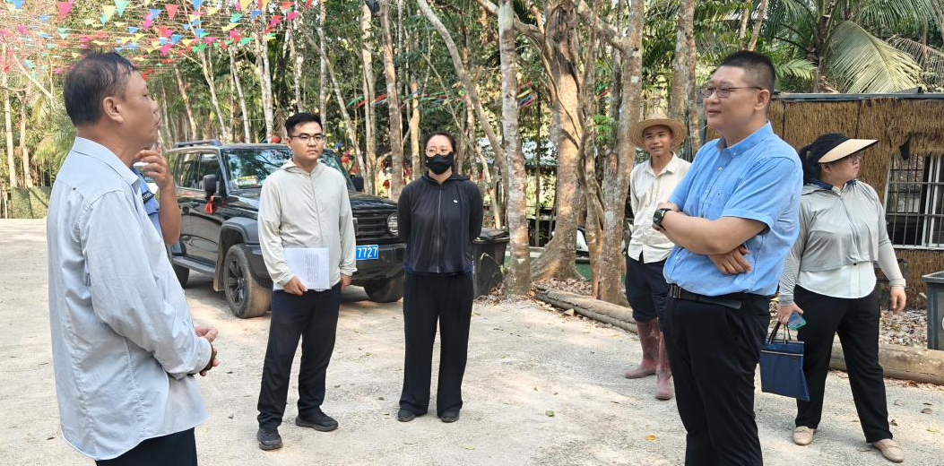 市林业局赴大茅村调研沉香产业 现场指导林权登记工作