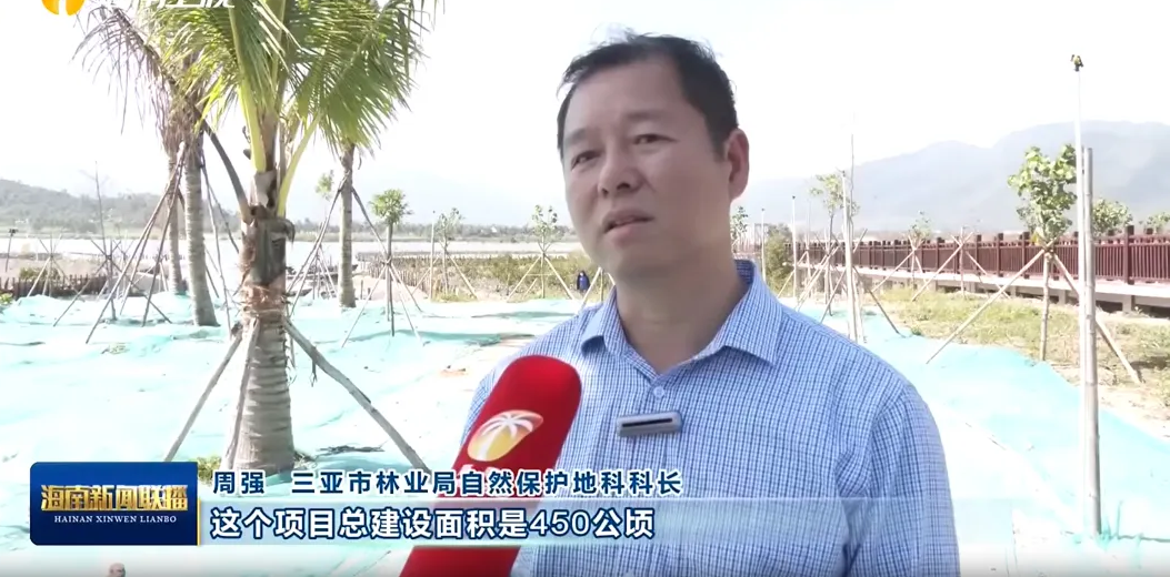 拼出“加速度” 守好“生态绿”——市林业局周强同志获评“拼经济、稳增长”先进个人！