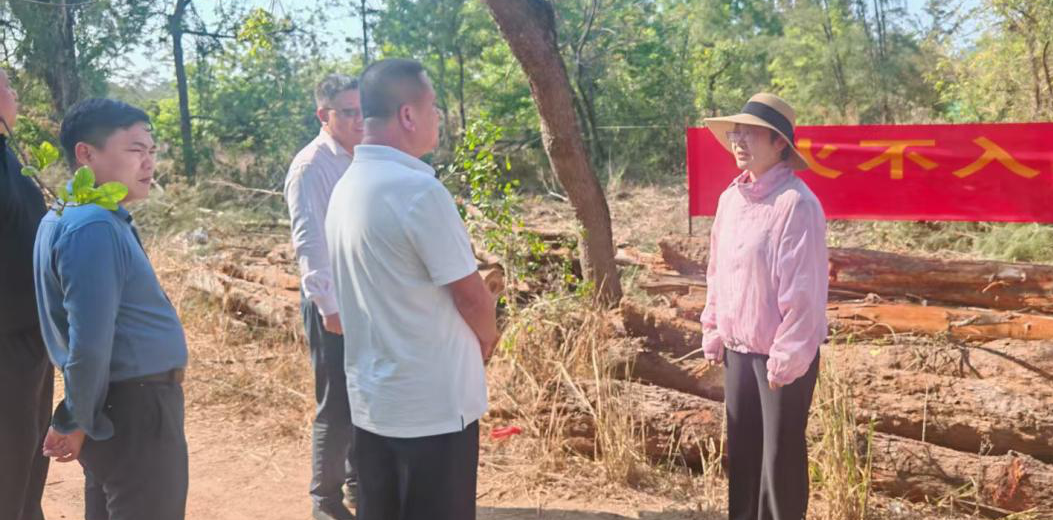 毕红玲带队开展清明节前森林防火专项检查