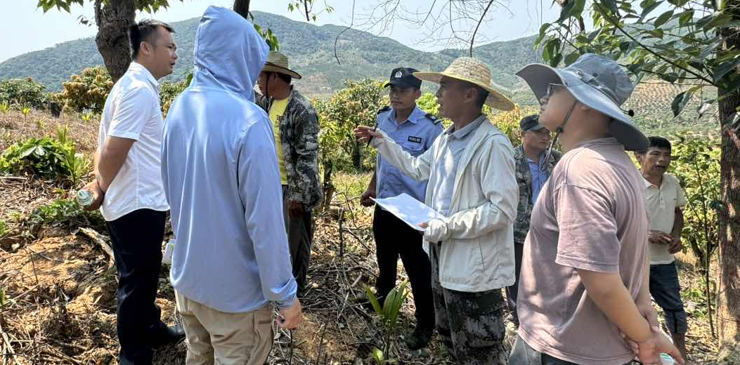 三亚市完成2026年第一期森林生态保护补偿验收工作