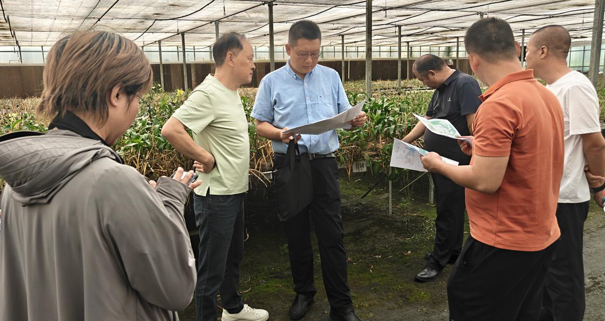 市林业局协同多部门强化服务保障 全力推动凤凰谷项目发展