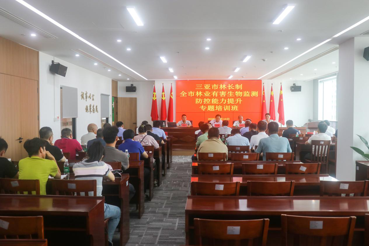 筑牢生态线 提升防控力——三亚市林长制办公室举办全市林业有害生物监测防控能力提升专题培训班
